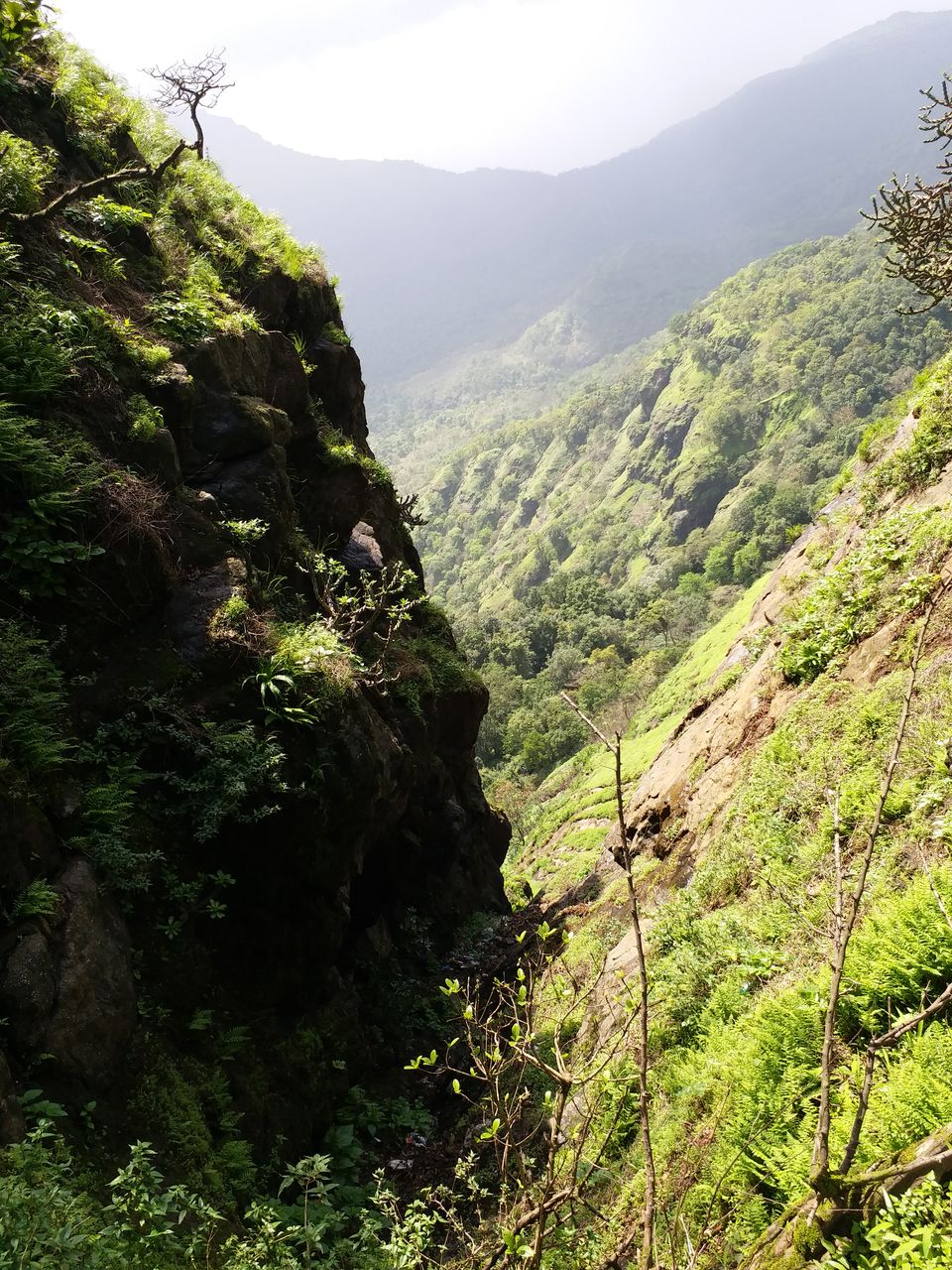 Photo of Matheran - Untouched by pollution and automobiles 6/10 by Shalini Garnaik