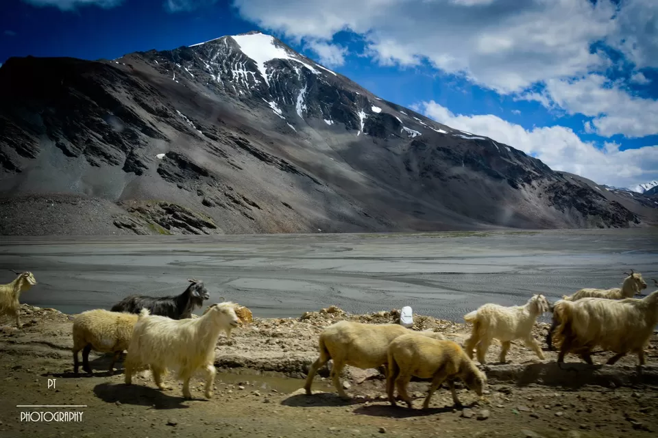 Photo of Leh Ladakh by Priyanka Telang