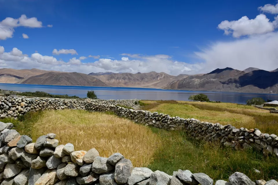 Photo of Leh Ladakh by Priyanka Telang
