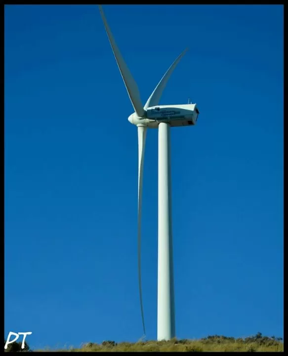 Photo of Seville, Spain by Priyanka Telang