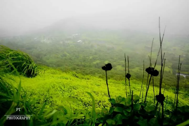 Photo of Lohgad Fort, Lohagad Trek Road, Pune, Maharashtra, India by Priyanka Telang