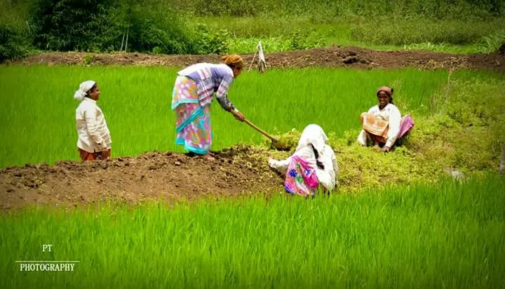 Photo of sai dam, pune by Priyanka Telang