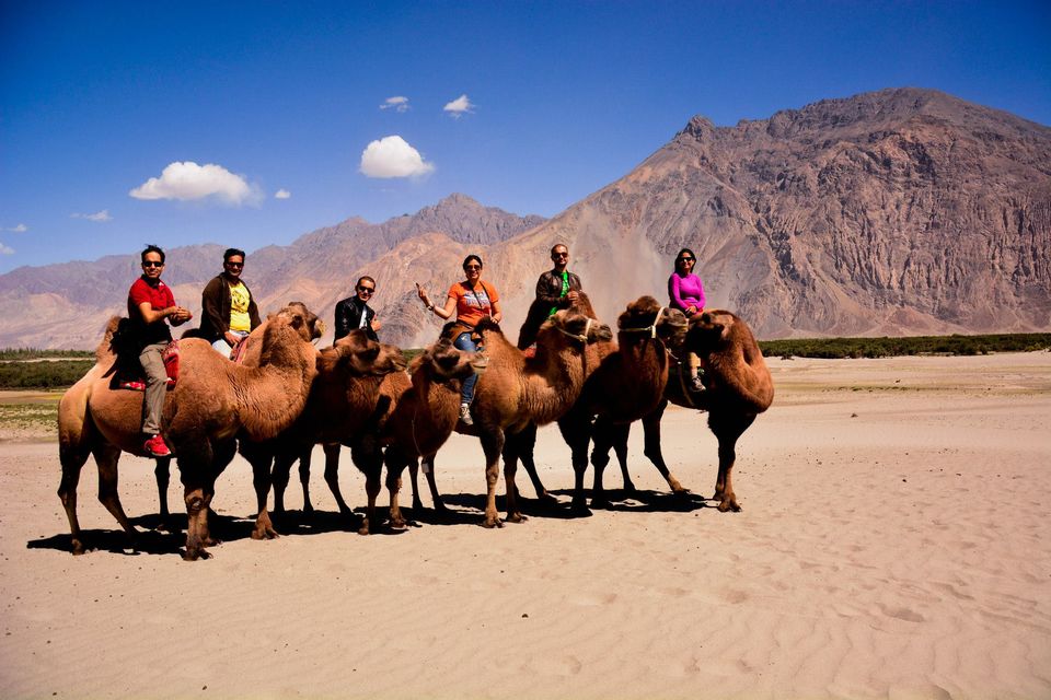 Photo of The Journey of Extremes - Leh and Ladakh 88/100 by Priyanka Telang
