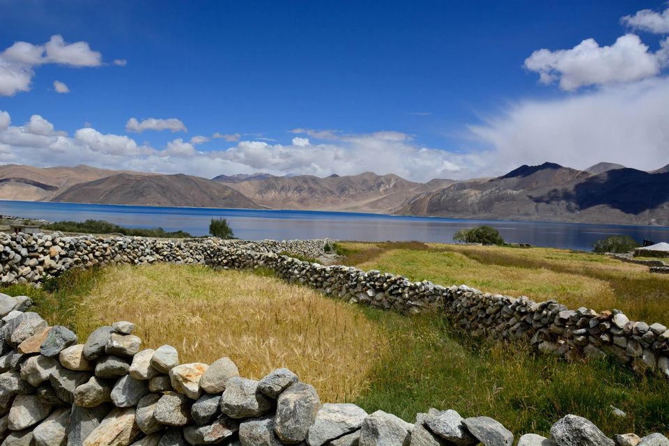 Photo of The Journey of Extremes - Leh and Ladakh 34/100 by Priyanka Telang