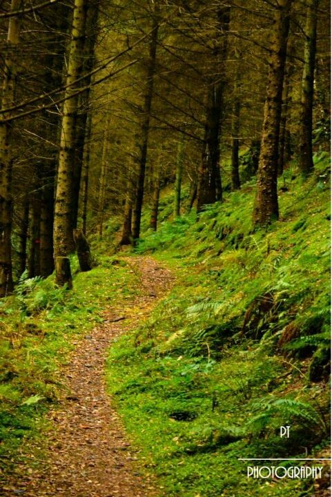 Photo of Lake District - will turn you Poetic 3/25 by Priyanka Telang