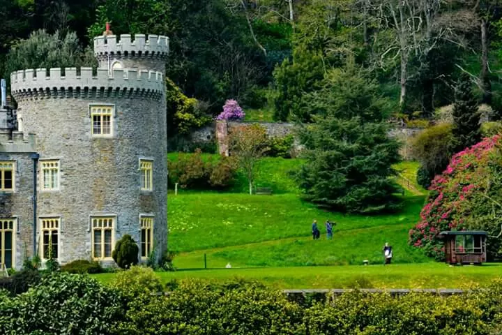 Photo of Cornwall, United Kingdom by Priyanka Telang