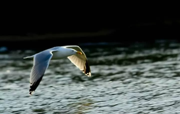 Photo of Cornwall, United Kingdom by Priyanka Telang