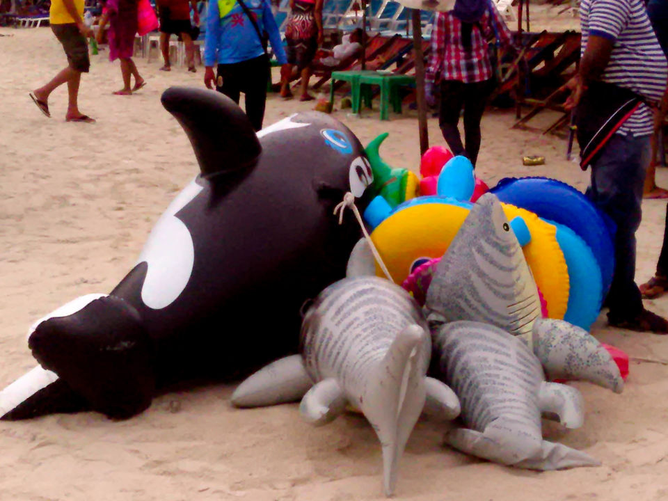 Photo of Solo Travelling Thailand - What to see & what to skip 14/38 by Priyanka Telang