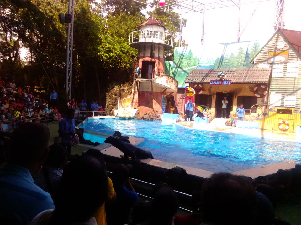 Photo of Solo Travelling Thailand - What to see & what to skip 24/38 by Priyanka Telang
