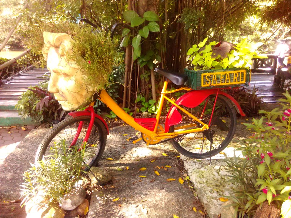 Photo of Solo Travelling Thailand - What to see & what to skip 28/38 by Priyanka Telang