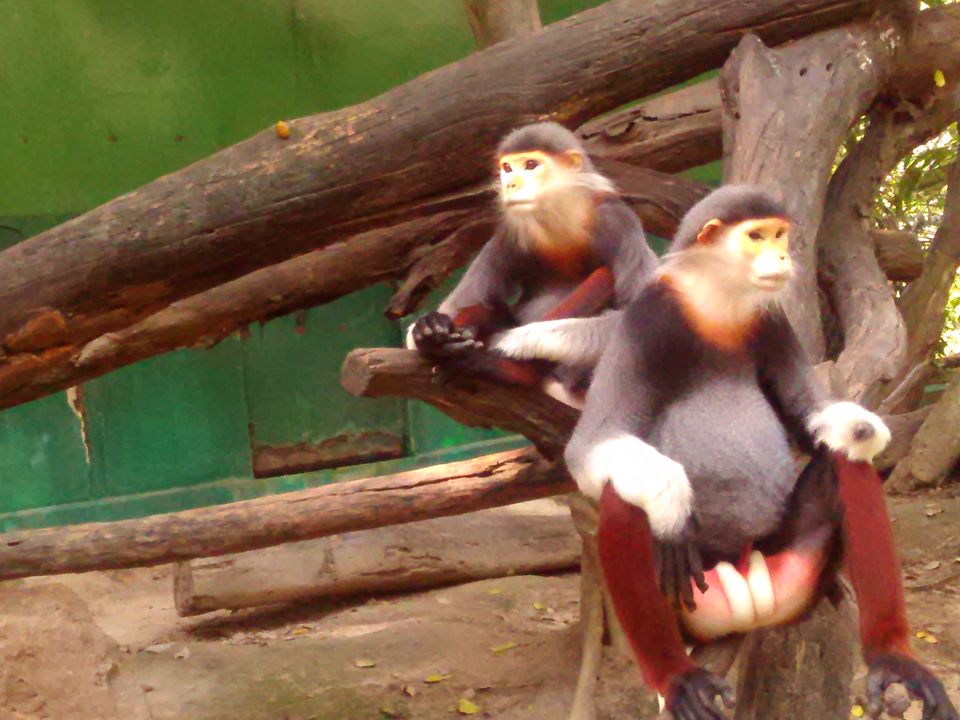 Photo of Solo Travelling Thailand - What to see & what to skip 29/38 by Priyanka Telang