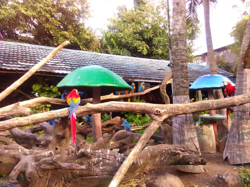 Photo of Solo Travelling Thailand - What to see & what to skip 35/38 by Priyanka Telang