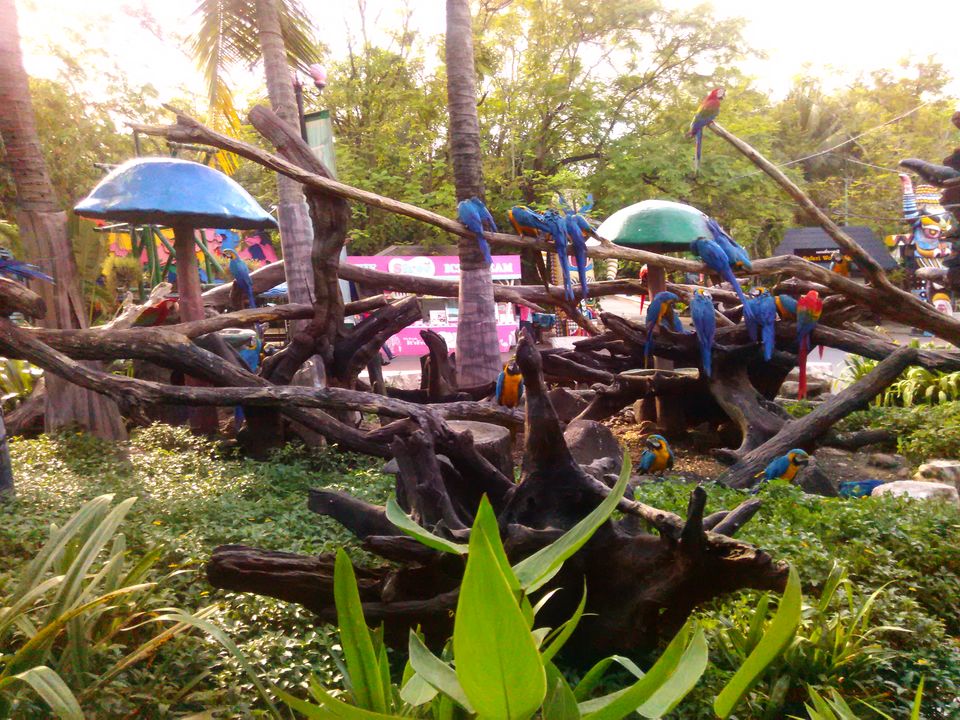 Photo of Solo Travelling Thailand - What to see & what to skip 36/38 by Priyanka Telang