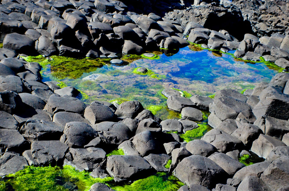 Photo of Coastal Ireland - Bagpack tour under Euro 300 5/32 by Priyanka Telang