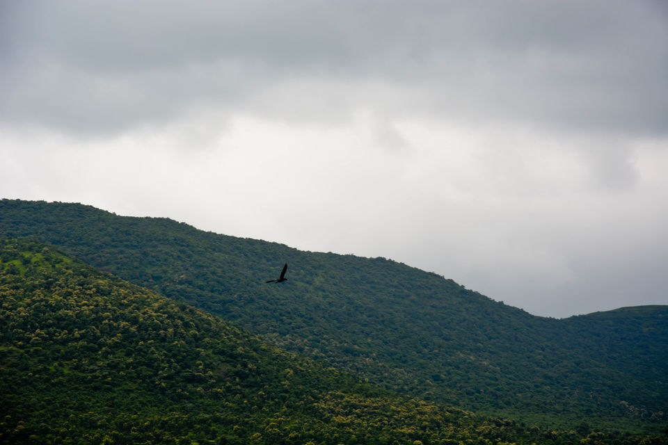 Photo of Few unexplored bike trails – For those who look for solitude by Priyanka Telang