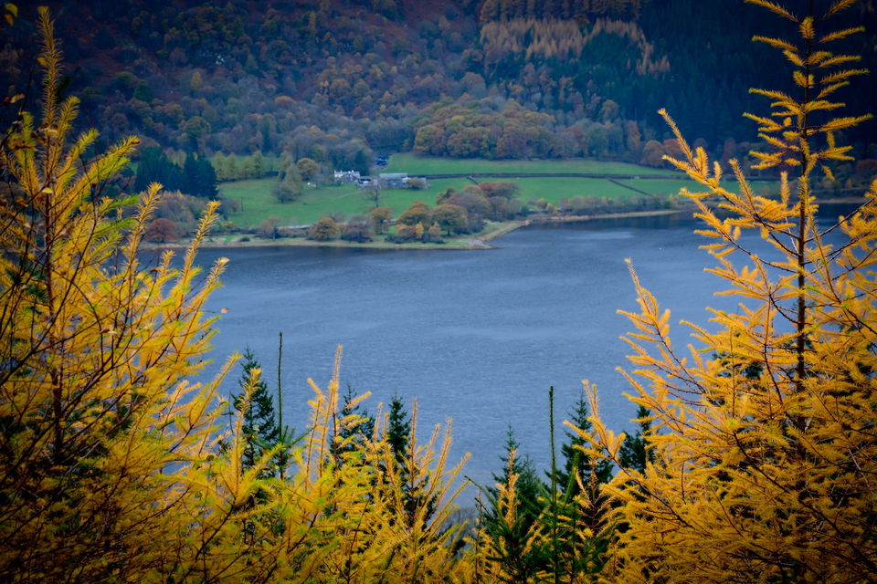 Photo of Lake District - will turn you Poetic 19/25 by Priyanka Telang