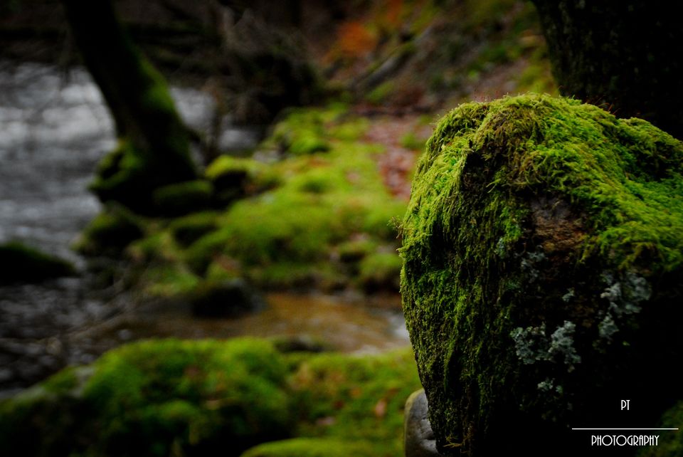 Photo of Lake District - will turn you Poetic 23/25 by Priyanka Telang