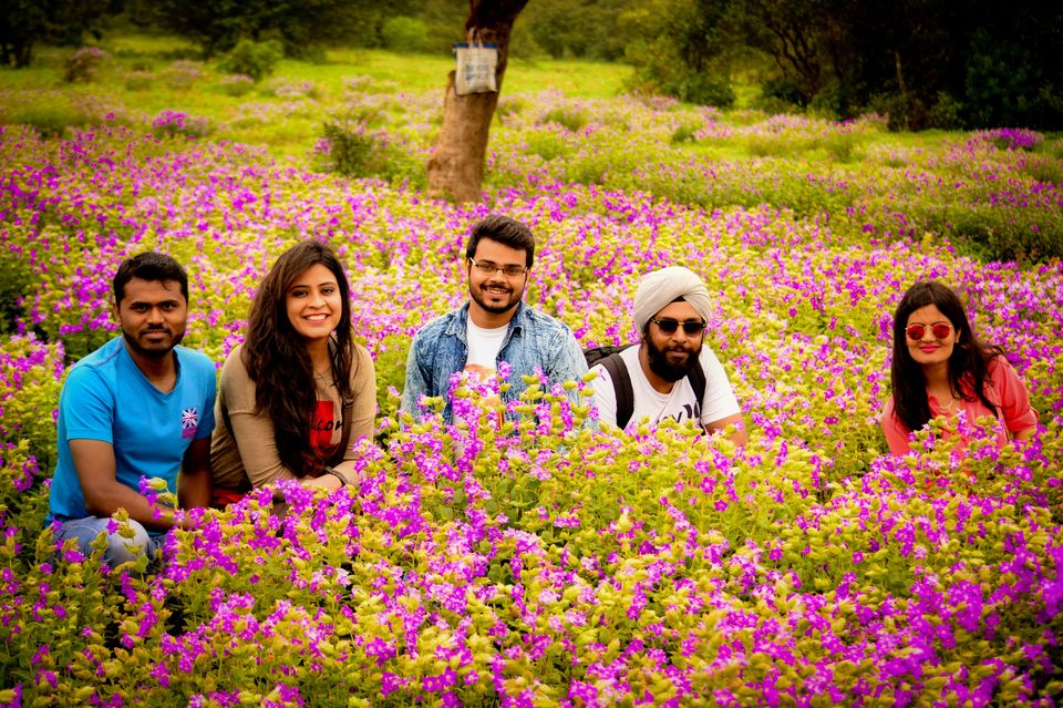 Photo of Kaas - The Plateau of Flowers by Priyanka Telang