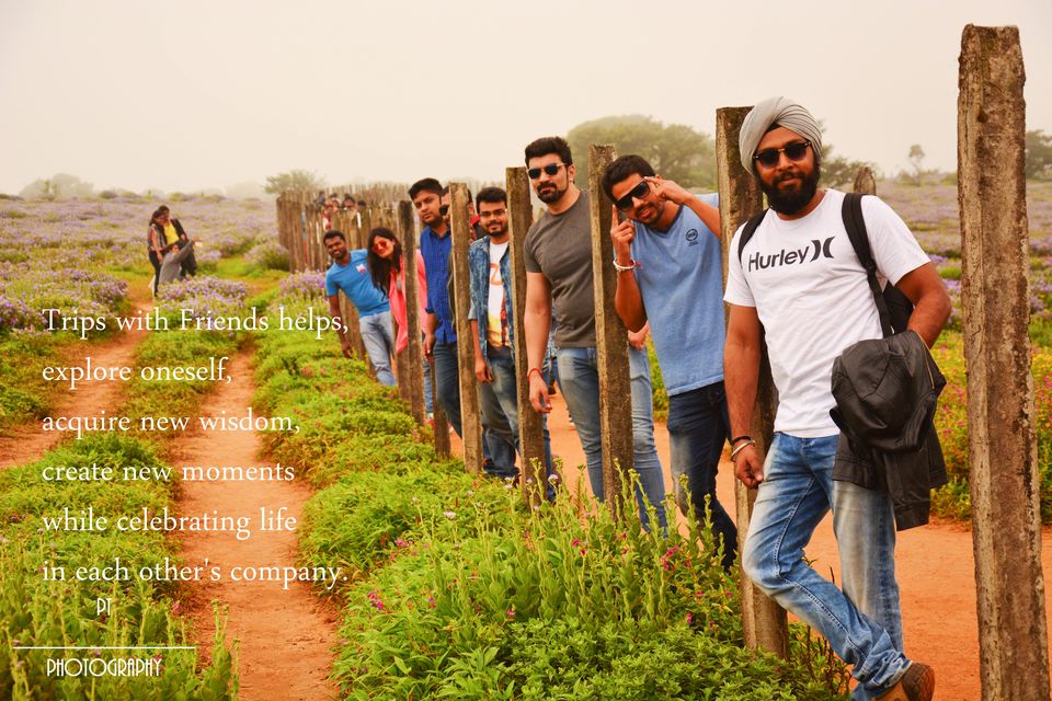 Photo of Kaas - The Plateau of Flowers by Priyanka Telang