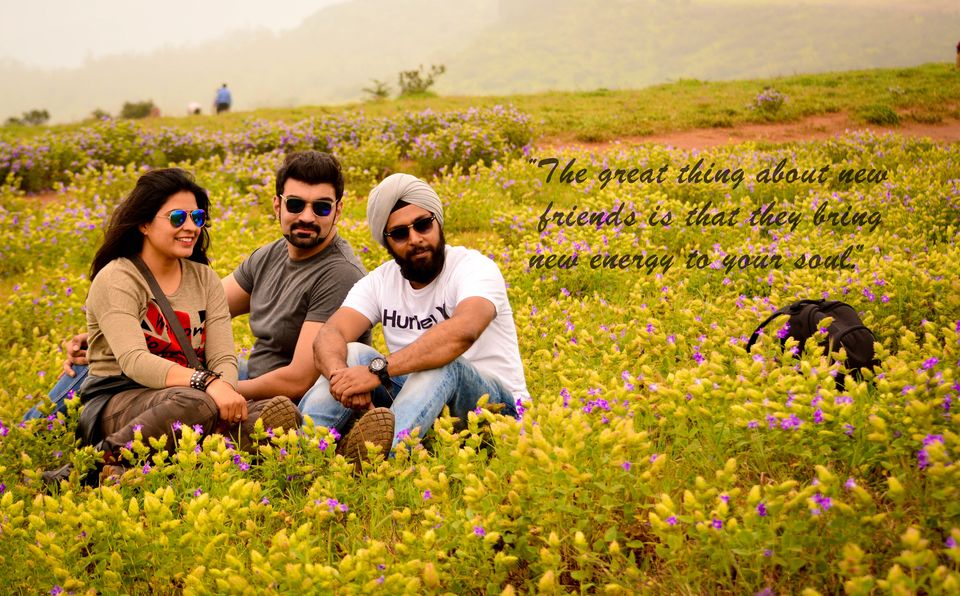 Photo of Kaas - The Plateau of Flowers by Priyanka Telang