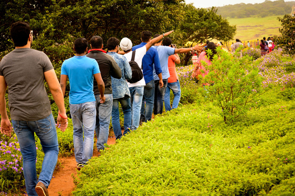 Photo of Kaas - The Plateau of Flowers by Priyanka Telang