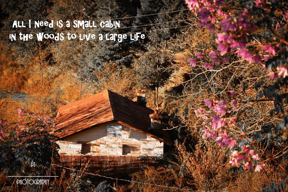 Photo of Uttarakhand - The Journey from being speechless to A Storyteller by Priyanka Telang