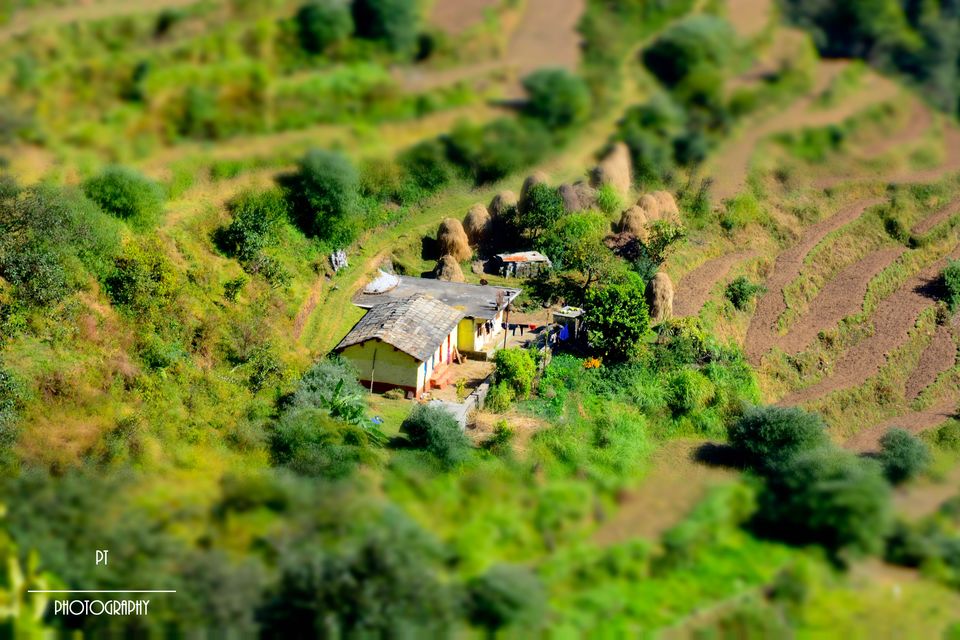 Photo of Uttarakhand - Our experience in the land of mountains, rural stays, organic food and amazing people by Priyanka Telang