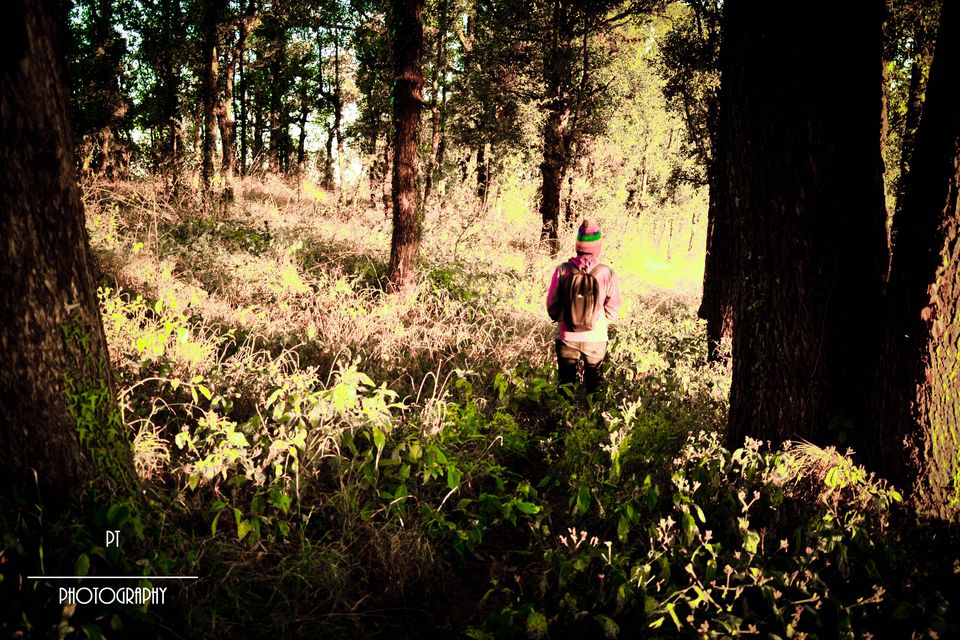 Photo of Uttarakhand - Our experience in the land of mountains, rural stays, organic food and amazing people by Priyanka Telang