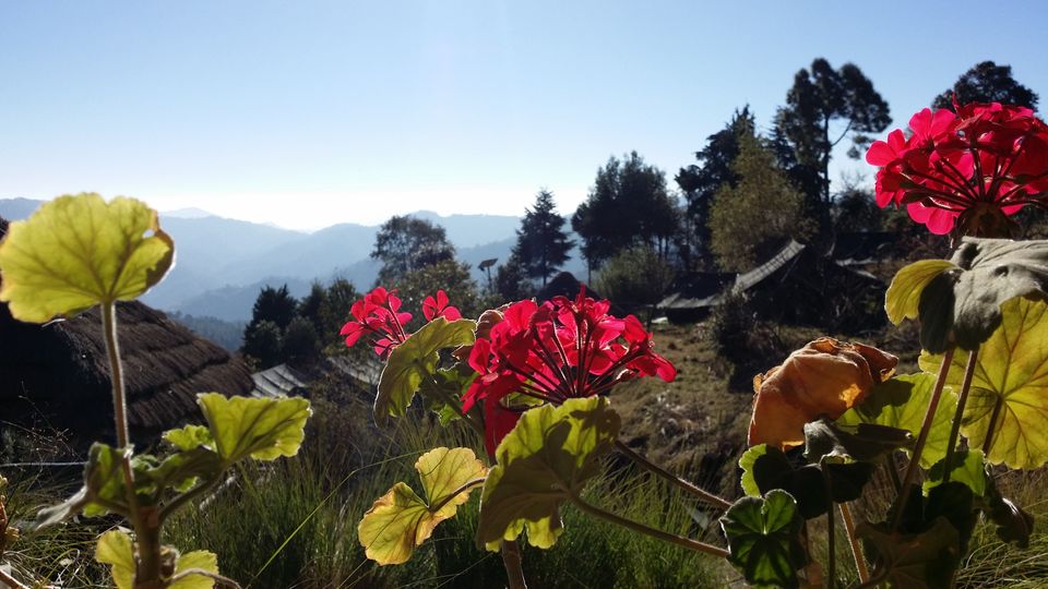 Photo of Uttarakhand - Our experience in the land of mountains, rural stays, organic food and amazing people by Priyanka Telang