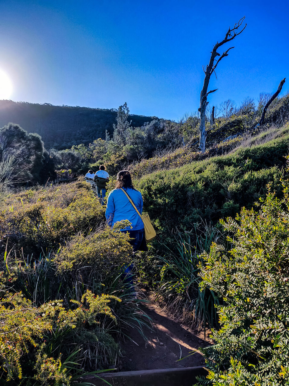 Photo of Trek to Figure 8 pools,Australia, NSW #AdventuretravelinAustralia 20/23 by Priyanka Telang