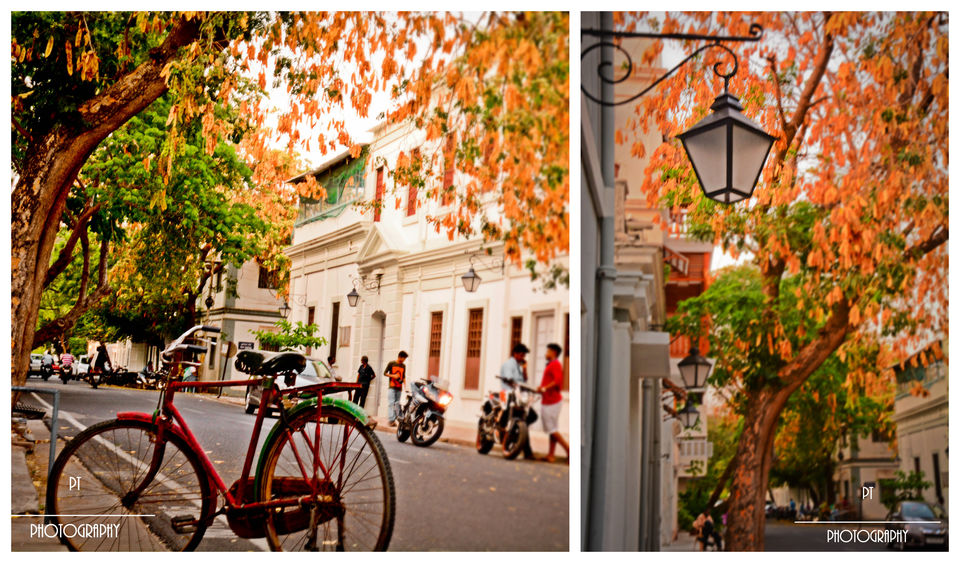 Photo of RoadTrip to Puducherry by Priyanka Telang