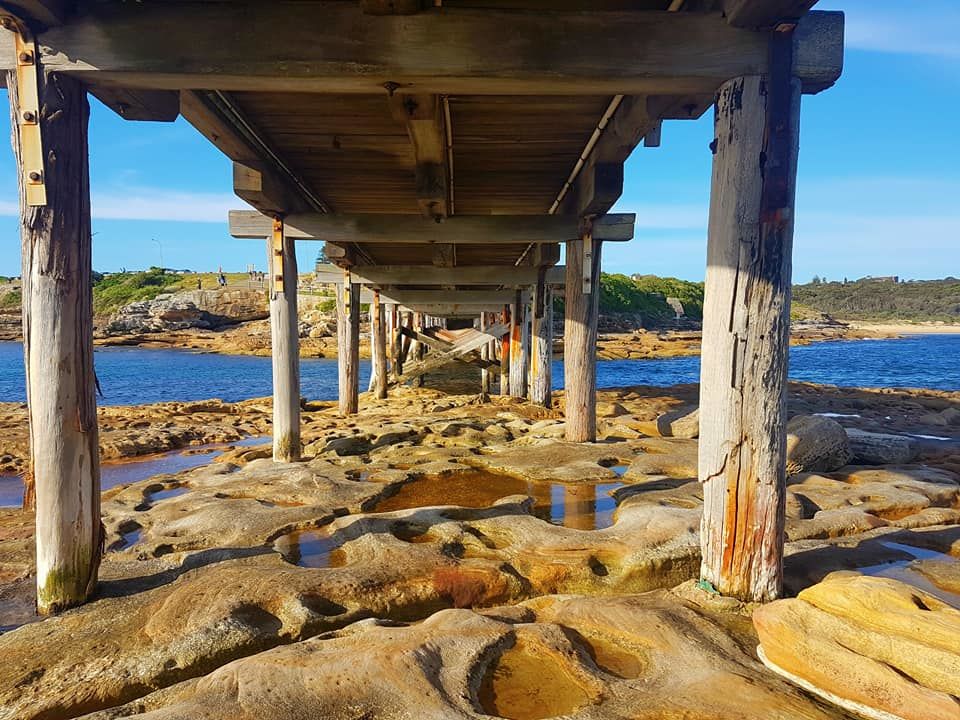 Photo of La-Perouse: Captain Cook's Landing Place, Sydney by Priyanka Telang