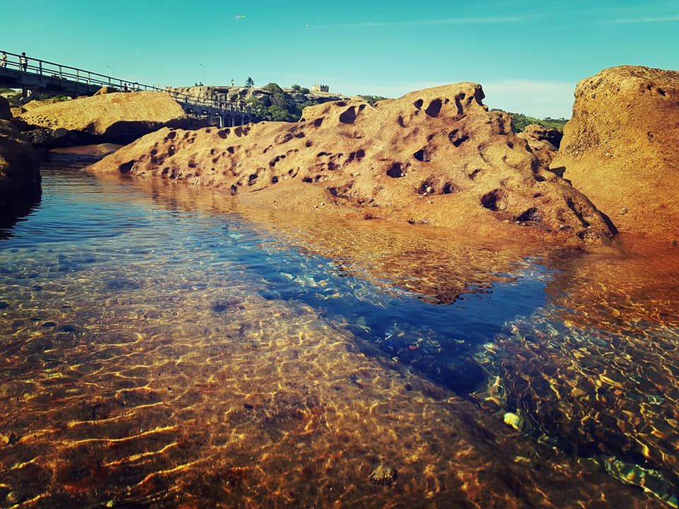 Photo of La-Perouse: Captain Cook's Landing Place, Sydney by Priyanka Telang