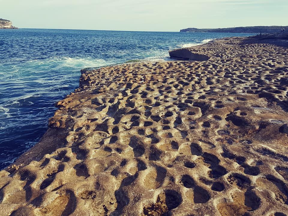 Photo of La-Perouse: Captain Cook's Landing Place, Sydney by Priyanka Telang