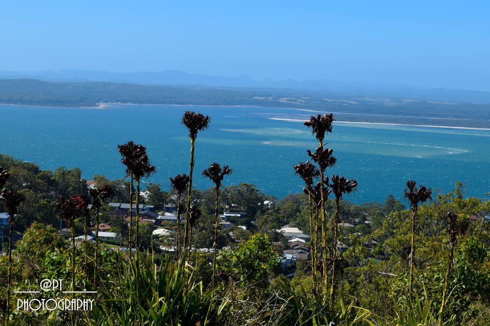 Photo of Discover Central Coast, NSW, Australia 12/17 by Priyanka Telang