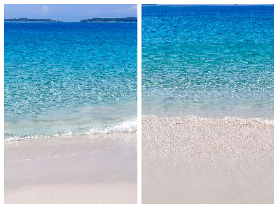 Photo of World's whitest beaches, an encounter with wildlife and an entertaining Road-Trip to Jervis Bay, NSW by Priyanka Telang
