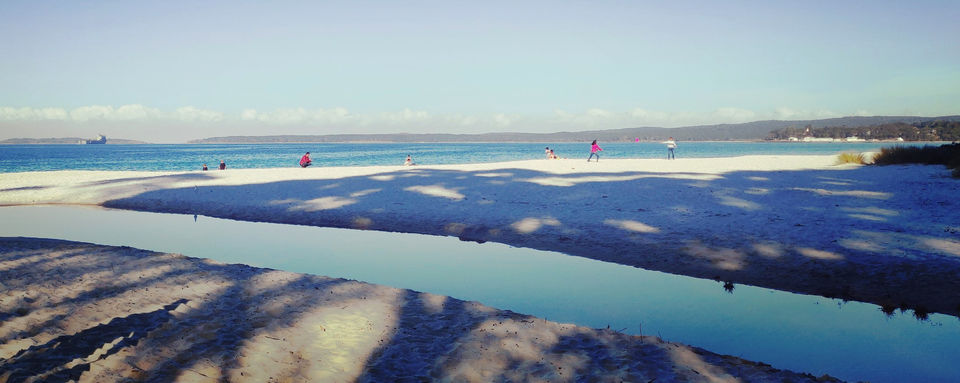Photo of World's whitest beaches, an encounter with wildlife and an entertaining Road-Trip to Jervis Bay, NSW by Priyanka Telang