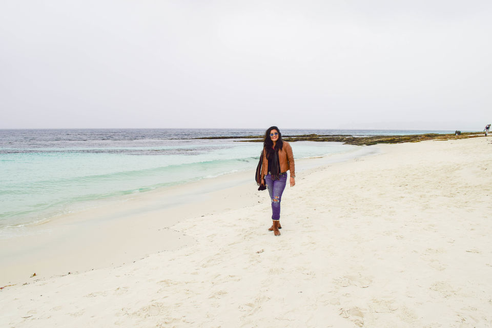 Photo of World's whitest beaches, an encounter with wildlife and an entertaining Road-Trip to Jervis Bay, NSW by Priyanka Telang