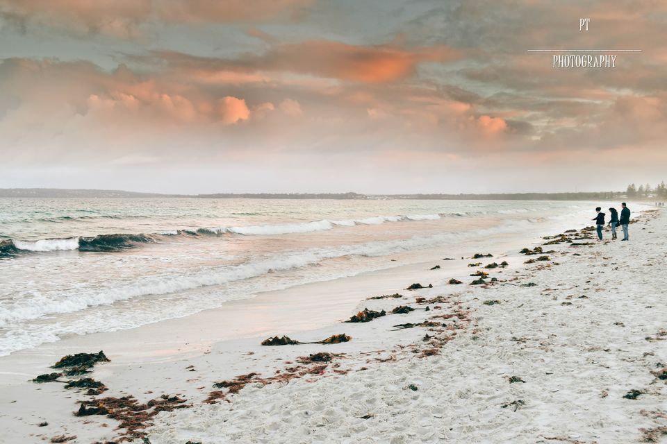 Photo of World's whitest beaches, an encounter with wildlife and an entertaining Road-Trip to Jervis Bay, NSW by Priyanka Telang