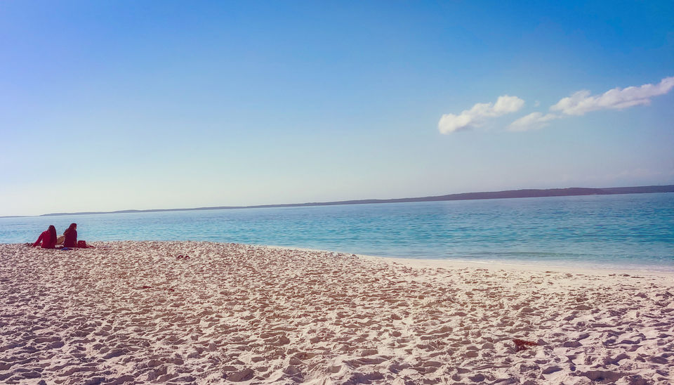 Photo of World's whitest beaches, an encounter with wildlife and an entertaining Road-Trip to Jervis Bay, NSW by Priyanka Telang