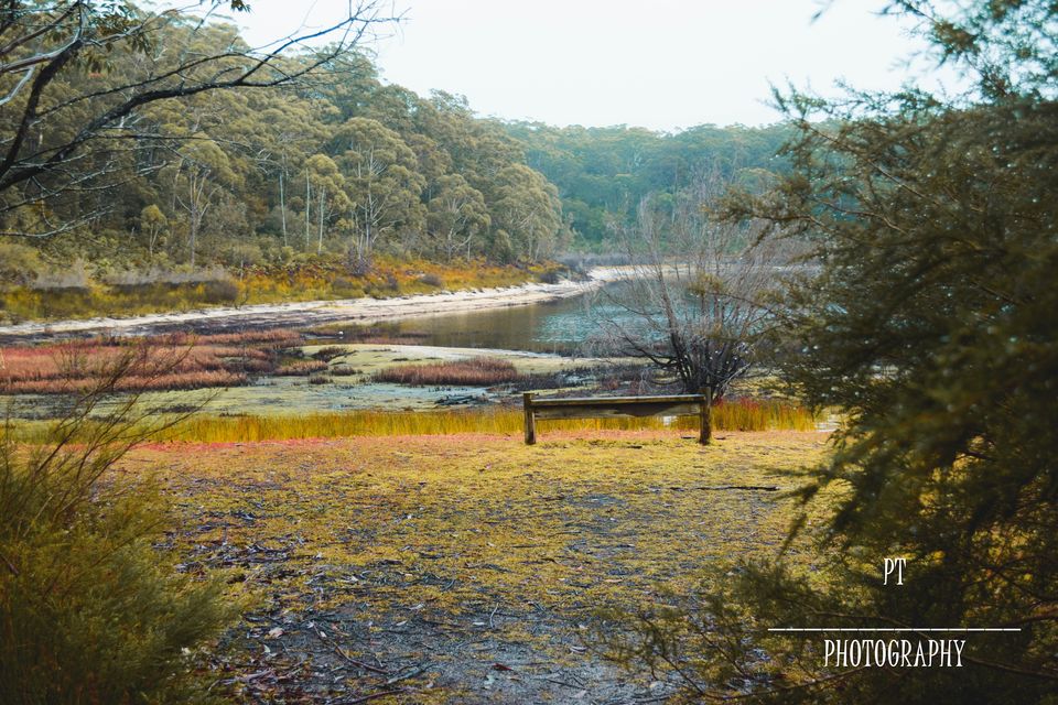 Photo of World's whitest beaches, an encounter with wildlife and an entertaining Road-Trip to Jervis Bay, NSW by Priyanka Telang