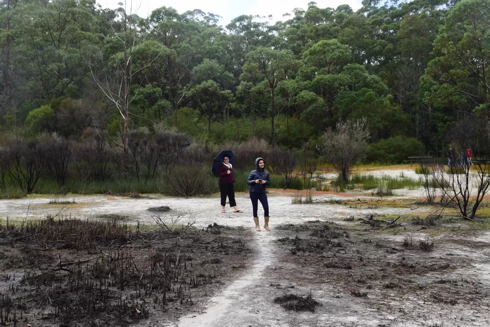 Photo of Booderee National Park, Jervis Bay Road, Jervis Bay JBT, Australia by Priyanka Telang