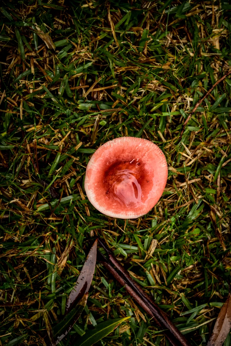 Photo of Booderee National Park, Jervis Bay Road, Jervis Bay JBT, Australia by Priyanka Telang