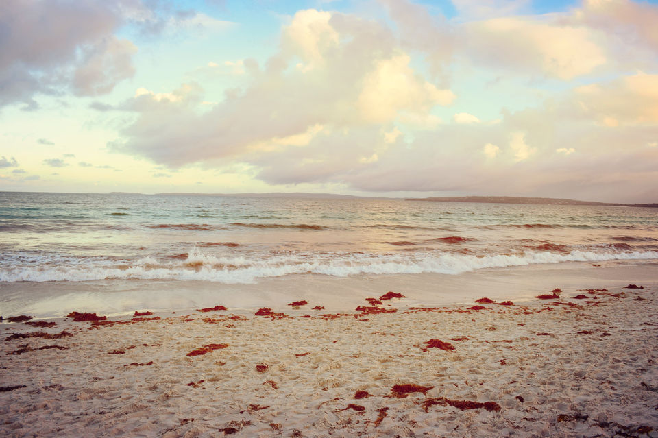 Photo of World's whitest beaches, an encounter with wildlife and an entertaining Road-Trip to Jervis Bay, NSW by Priyanka Telang