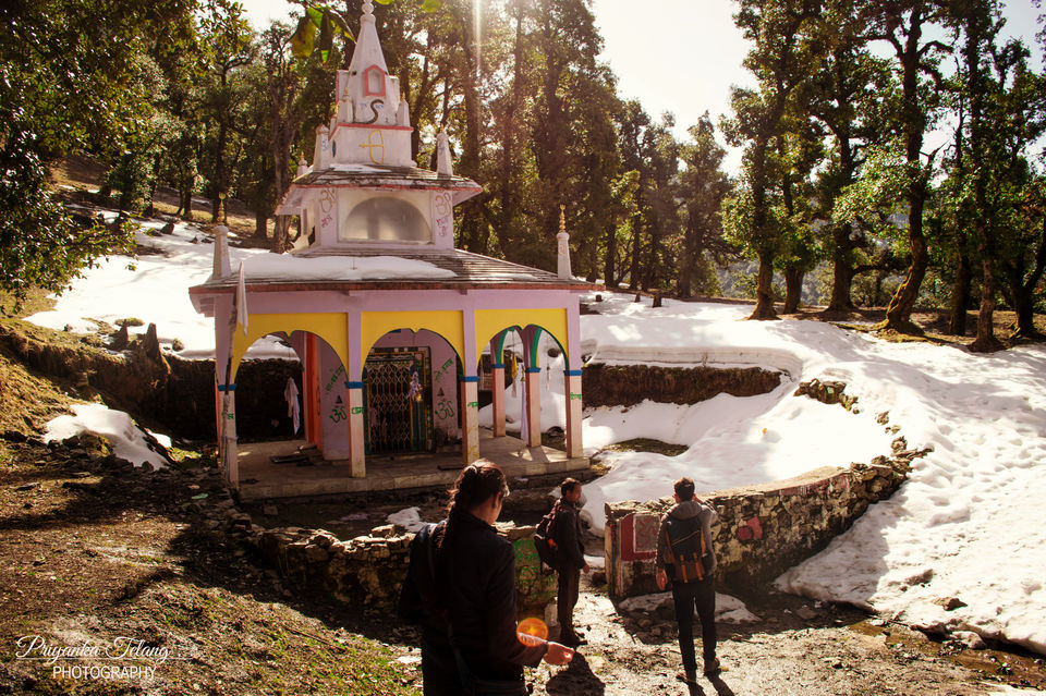 Photo of Have you ever climbed a mountain to meet someone? Well we did - Nag Tibba Summit 21/43 by Priyanka Telang