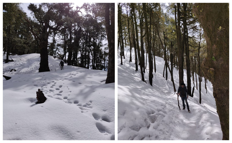 Photo of Have you ever climbed a mountain to meet someone? Well we did - Nag Tibba Summit 22/43 by Priyanka Telang