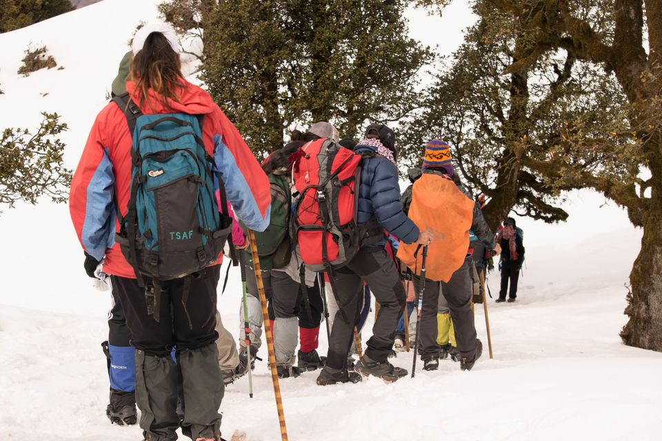 Photo of Have you ever climbed a mountain to meet someone? Well we did - Nag Tibba Summit 19/43 by Priyanka Telang