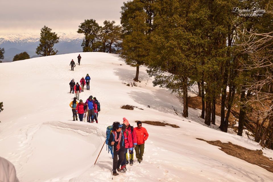 Photo of Have you ever climbed a mountain to meet someone? Well we did - Nag Tibba Summit 27/43 by Priyanka Telang
