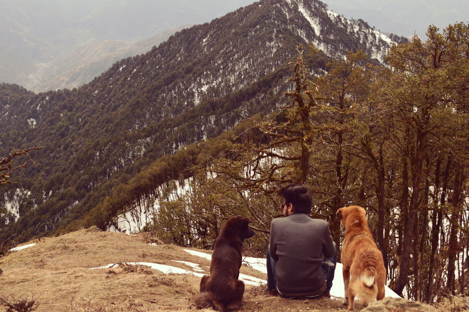 Photo of Have you ever climbed a mountain to meet someone? Well we did - Nag Tibba Summit 29/43 by Priyanka Telang