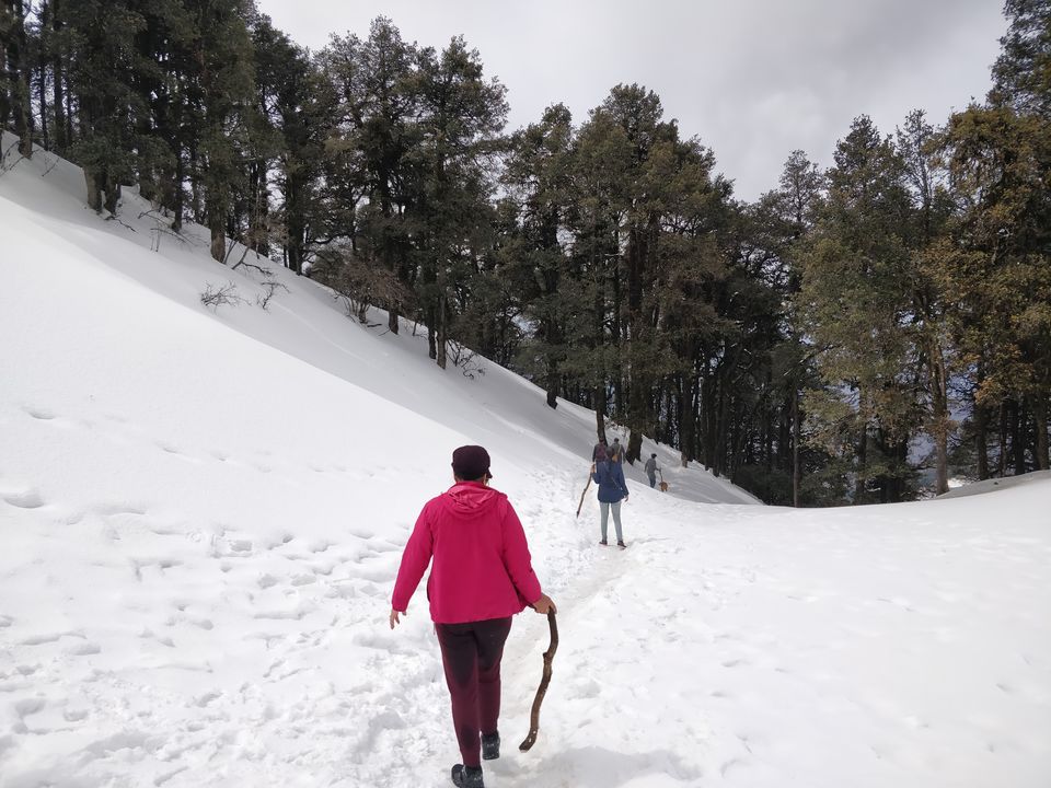 Photo of Have you ever climbed a mountain to meet someone? Well we did - Nag Tibba Summit 33/43 by Priyanka Telang